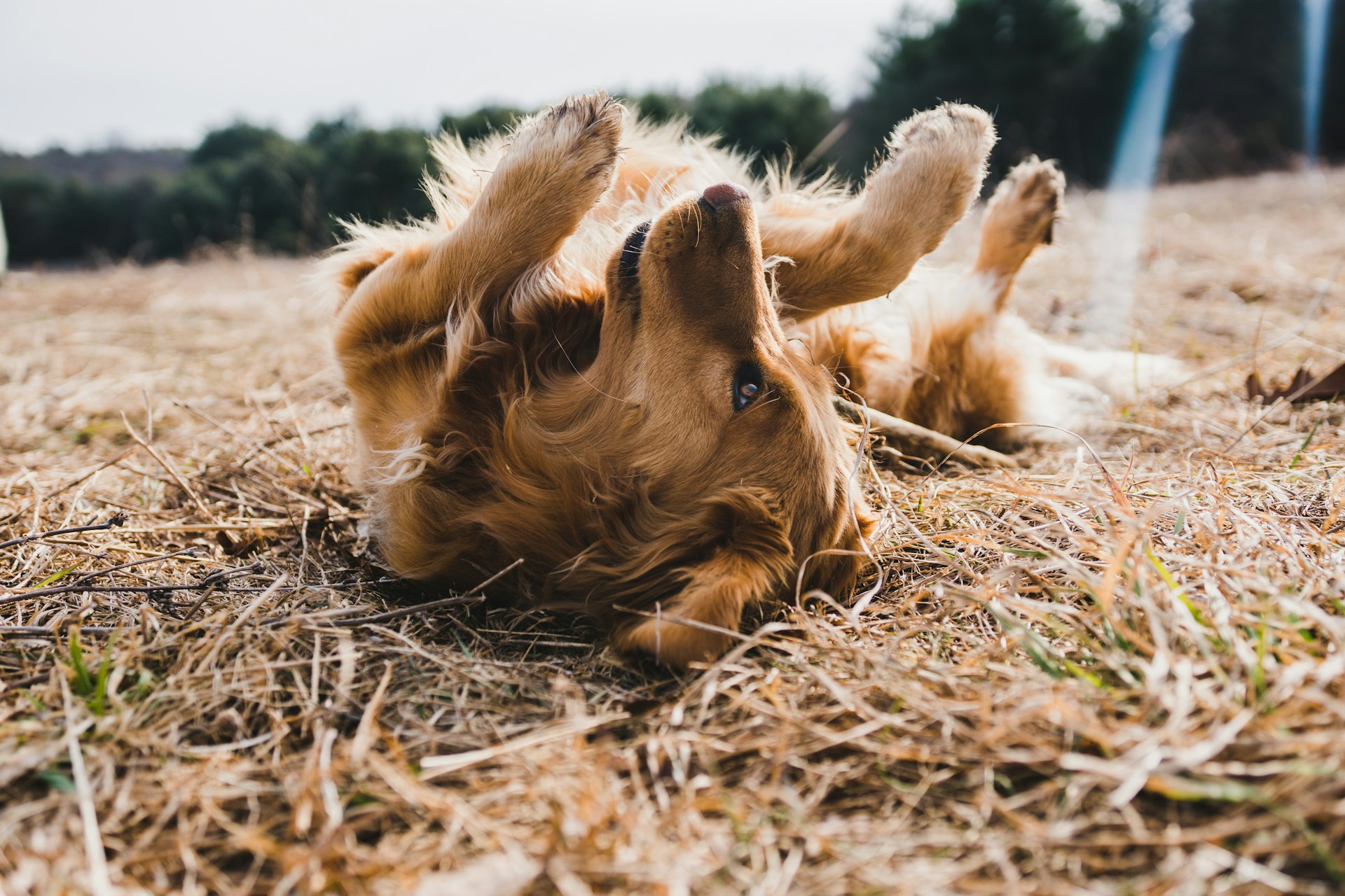 michael oxendine t7wwffh6x8E unsplash (1)